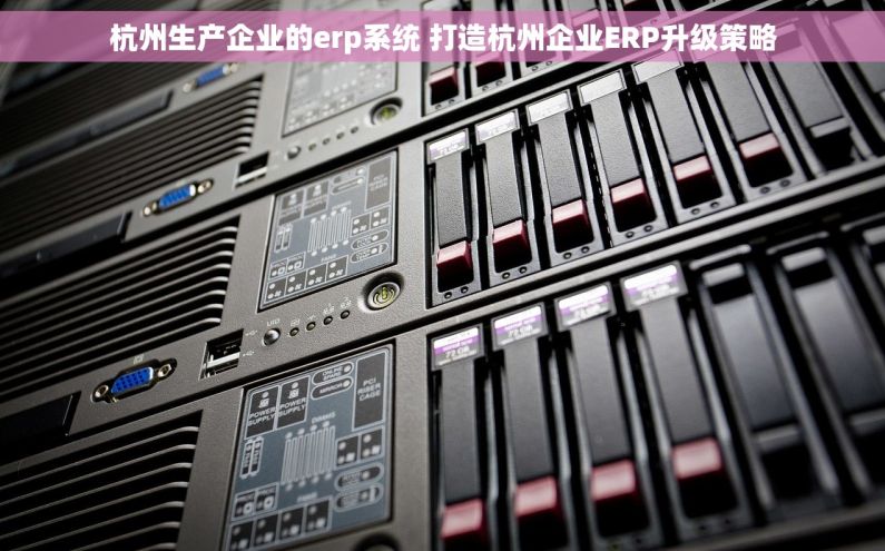 杭州生产企业的erp系统 打造杭州企业ERP升级策略