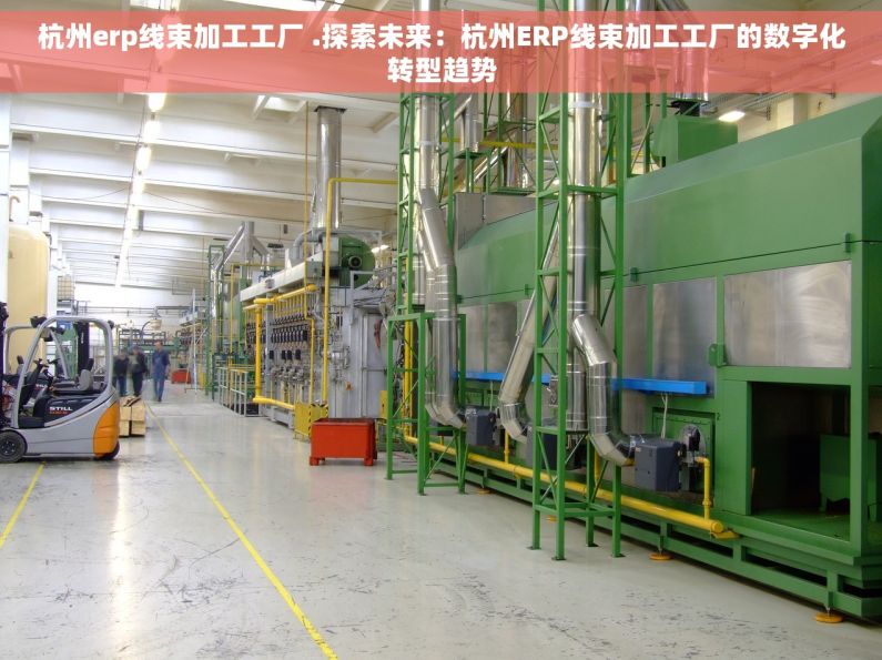 杭州erp线束加工工厂 .探索未来：杭州ERP线束加工工厂的数字化转型趋势