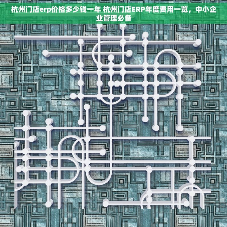 杭州门店erp价格多少钱一年 杭州门店ERP年度费用一览，中小企业管理必备