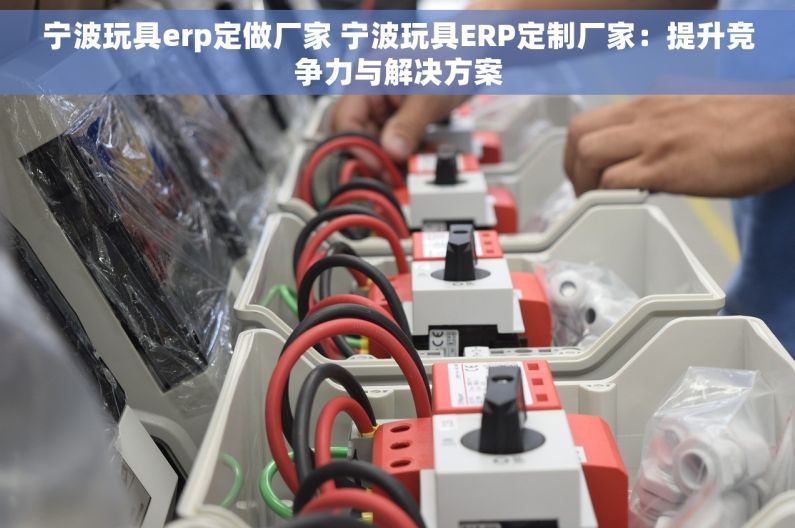 宁波玩具erp定做厂家 宁波玩具ERP定制厂家：提升竞争力与解决方案