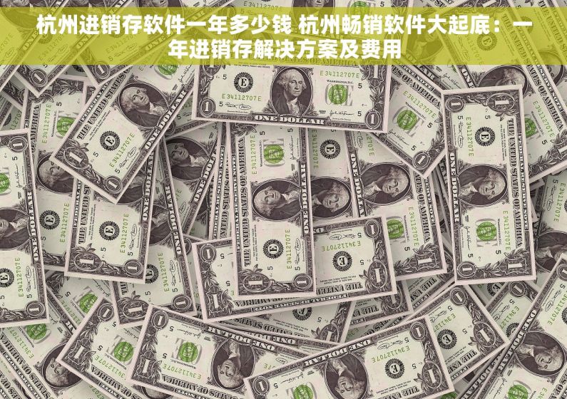 杭州进销存软件一年多少钱 杭州畅销软件大起底：一年进销存解决方案及费用