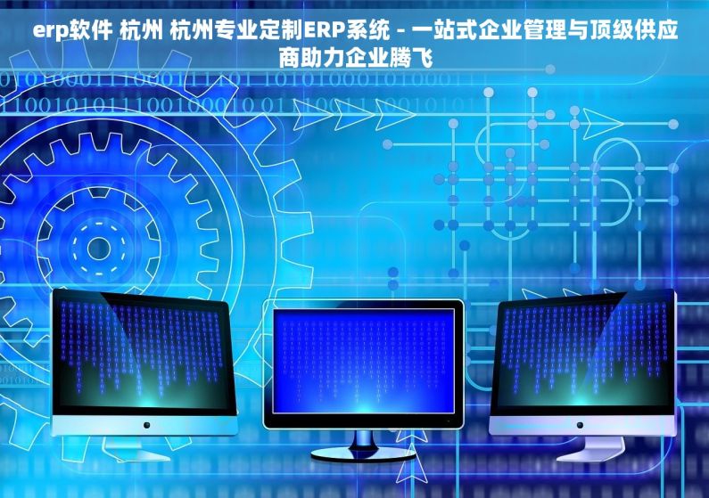 erp软件 杭州 杭州专业定制ERP系统 - 一站式企业管理与顶级供应商助力企业腾飞