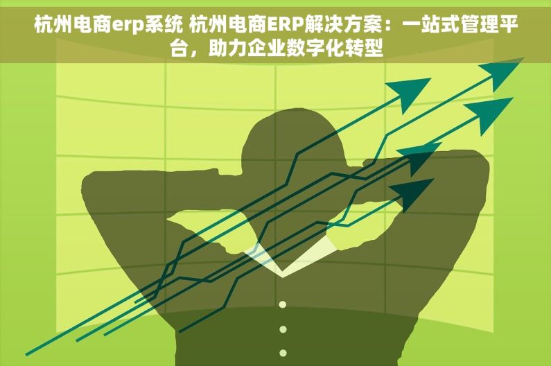 杭州电商erp系统 杭州电商ERP解决方案：一站式管理平台，助力企业数字化转型