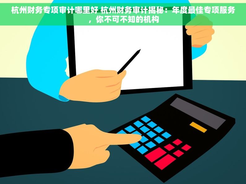 杭州财务专项审计哪里好 杭州财务审计揭秘：年度最佳专项服务，你不可不知的机构