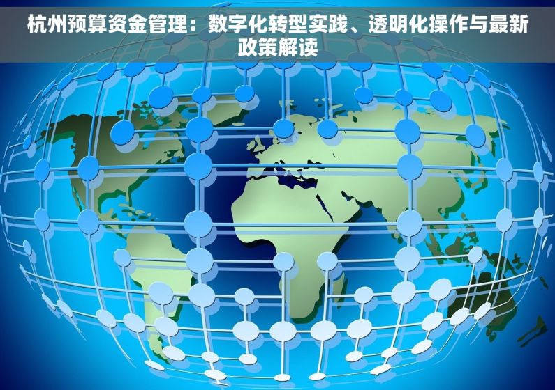 杭州预算资金管理：数字化转型实践、透明化操作与最新政策解读