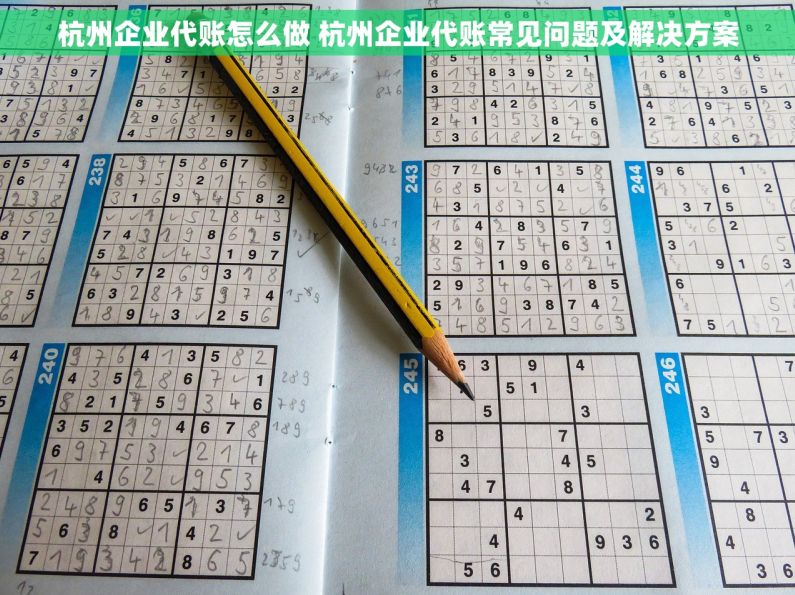 杭州企业代账怎么做 杭州企业代账常见问题及解决方案