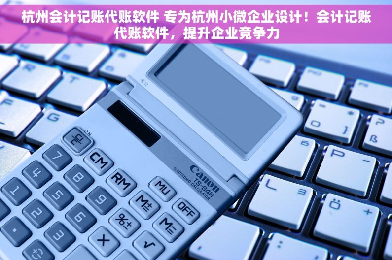 杭州会计记账代账软件 专为杭州小微企业设计！会计记账代账软件，提升企业竞争力