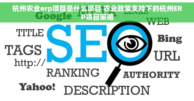 杭州农业erp项目是什么项目 农业政策支持下的杭州ERP项目策略