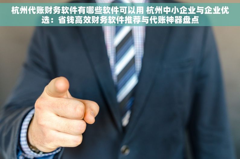 杭州代账财务软件有哪些软件可以用 杭州中小企业与企业优选：省钱高效财务软件推荐与代账神器盘点