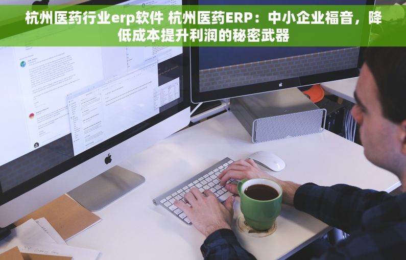杭州医药行业erp软件 杭州医药ERP：中小企业福音，降低成本提升利润的秘密武器