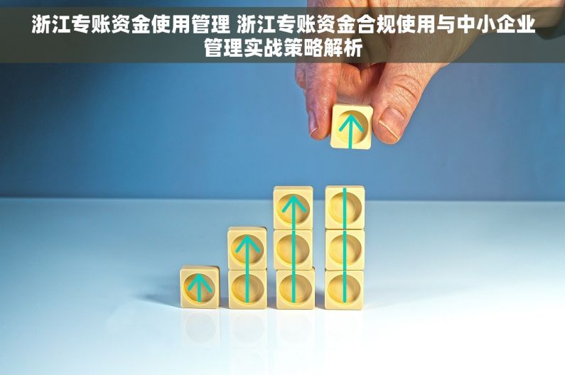 浙江专账资金使用管理 浙江专账资金合规使用与中小企业管理实战策略解析