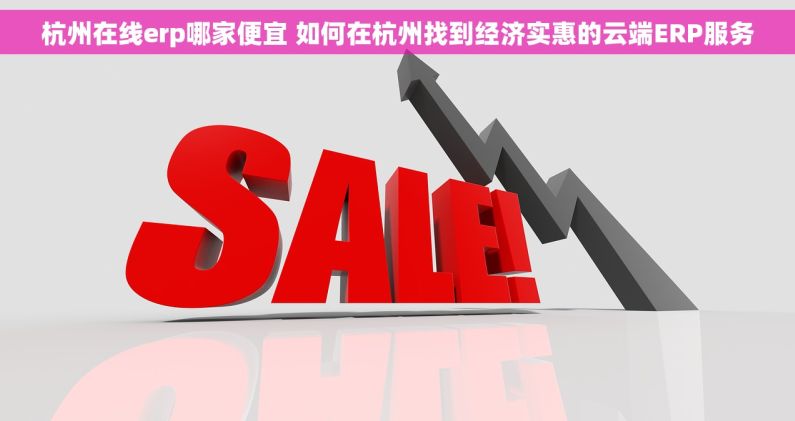 杭州在线erp哪家便宜 如何在杭州找到经济实惠的云端ERP服务