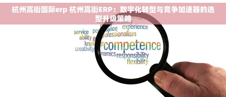 杭州高街国际erp 杭州高街ERP：数字化转型与竞争加速器的选型升级策略