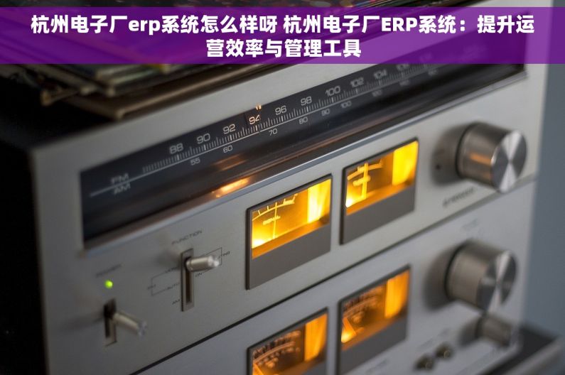 杭州电子厂erp系统怎么样呀 杭州电子厂ERP系统：提升运营效率与管理工具