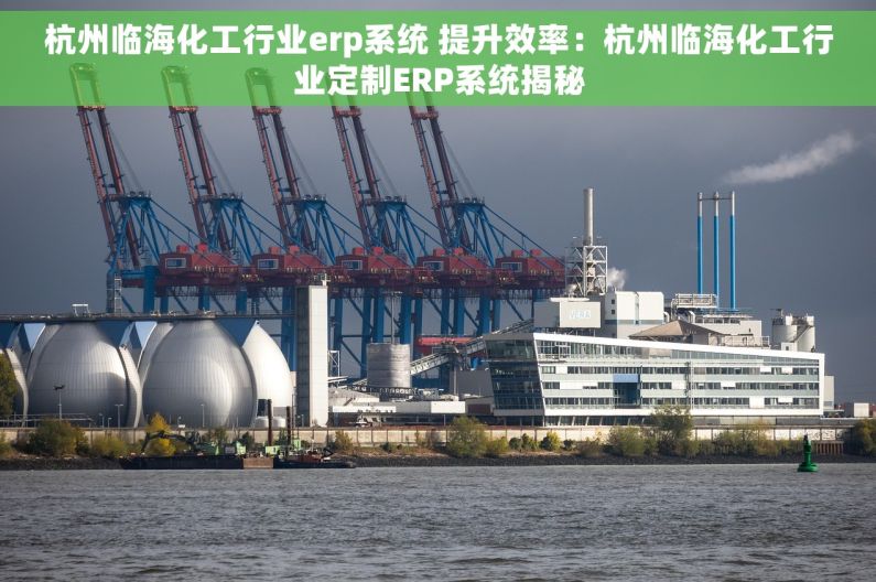 杭州临海化工行业erp系统 提升效率：杭州临海化工行业定制ERP系统揭秘