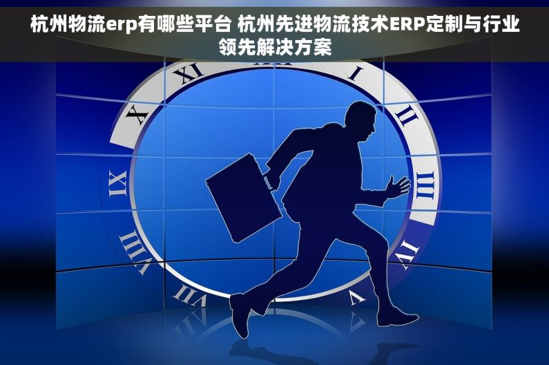 杭州物流erp有哪些平台 杭州先进物流技术ERP定制与行业领先解决方案