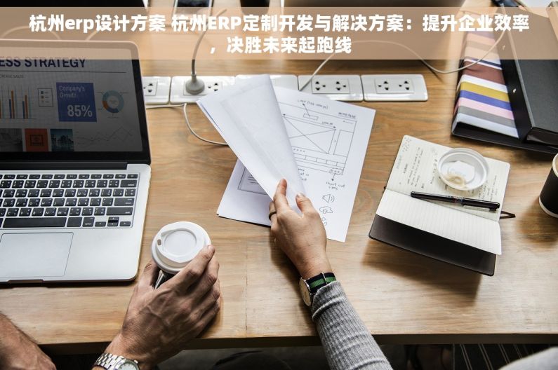 杭州erp设计方案 杭州ERP定制开发与解决方案：提升企业效率，决胜未来起跑线