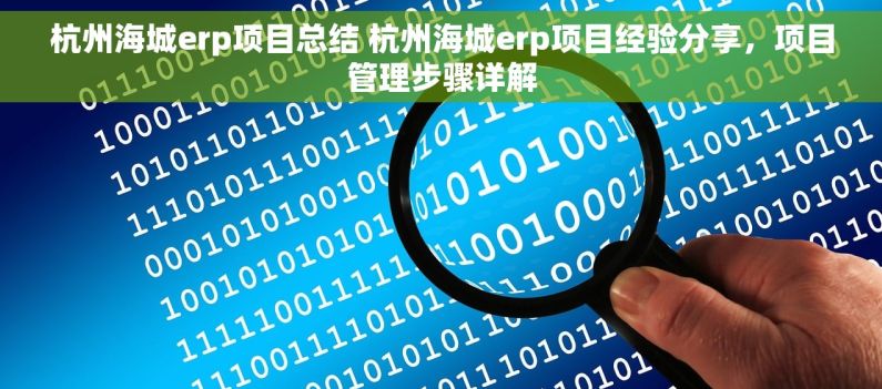 杭州海城erp项目总结 杭州海城erp项目经验分享，项目管理步骤详解
