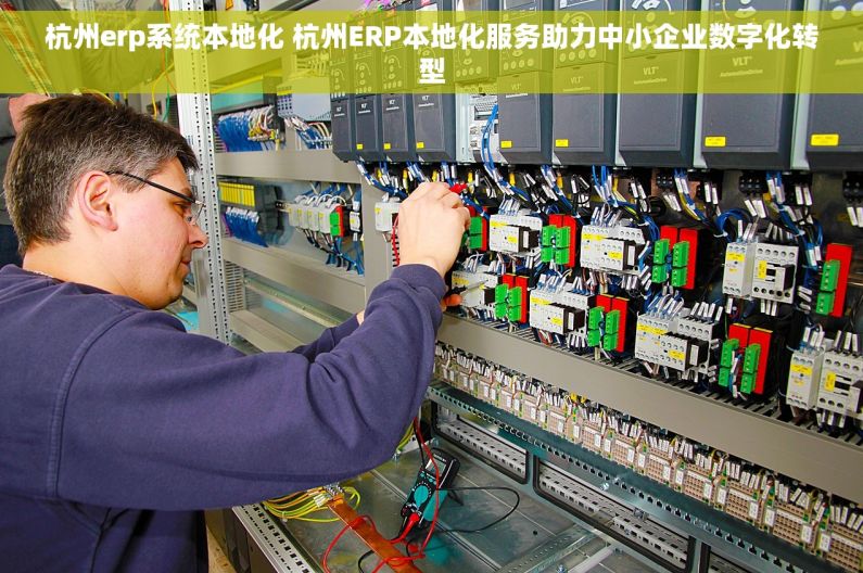 杭州erp系统本地化 杭州ERP本地化服务助力中小企业数字化转型