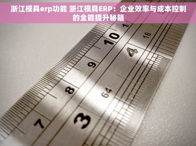 浙江模具erp功能 浙江模具ERP：企业效率与成本控制的全能提升秘籍