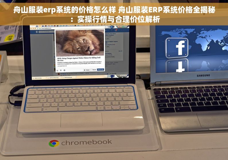 舟山服装erp系统的价格怎么样 舟山服装ERP系统价格全揭秘：实操行情与合理价位解析