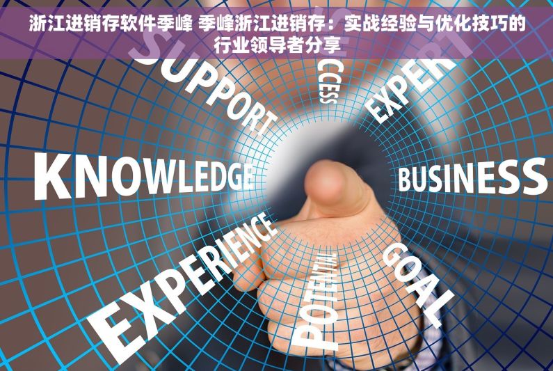 浙江进销存软件季峰 季峰浙江进销存：实战经验与优化技巧的行业领导者分享