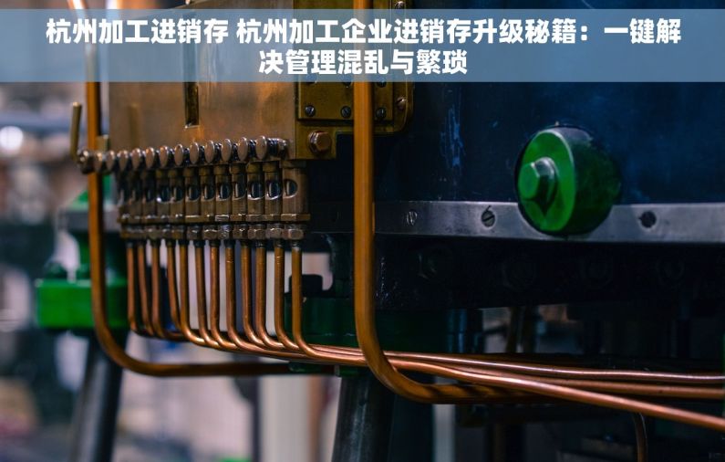 杭州加工进销存 杭州加工企业进销存升级秘籍：一键解决管理混乱与繁琐
