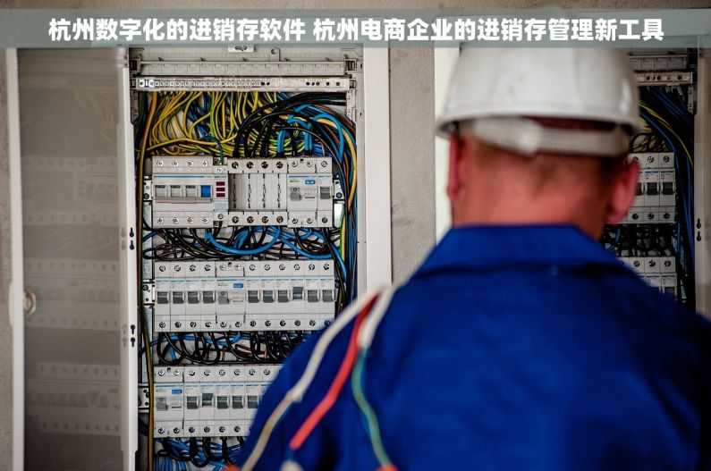 杭州数字化的进销存软件 杭州电商企业的进销存管理新工具