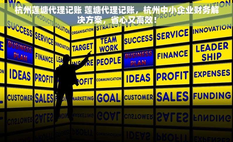 杭州莲塘代理记账 莲塘代理记账，杭州中小企业财务解决方案，省心又高效！