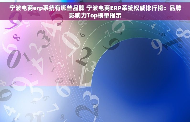 宁波电商erp系统有哪些品牌 宁波电商ERP系统权威排行榜：品牌影响力Top榜单揭示