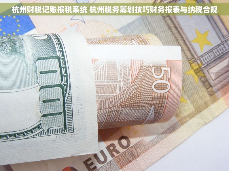 杭州财税记账报税系统 杭州税务筹划技巧财务报表与纳税合规
