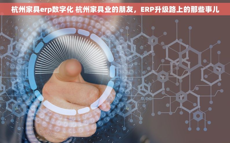 杭州家具erp数字化 杭州家具业的朋友，ERP升级路上的那些事儿
