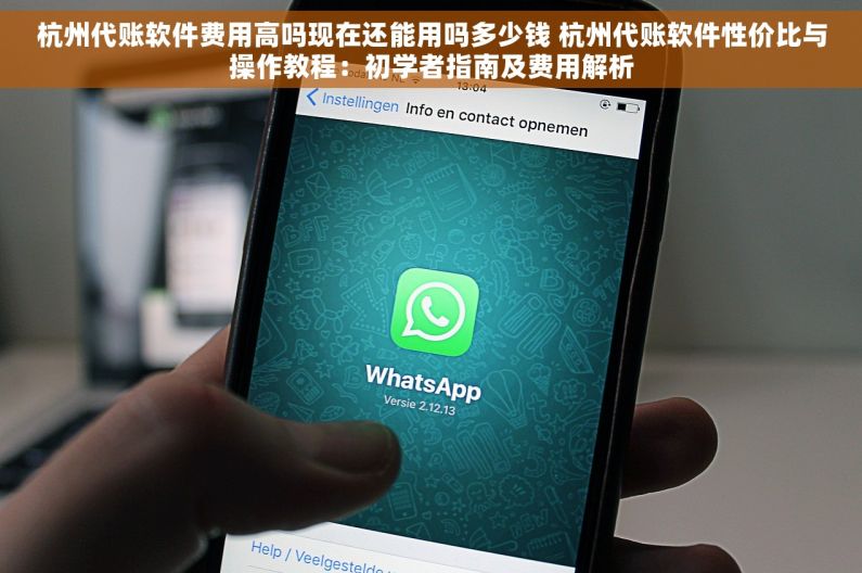 杭州代账软件费用高吗现在还能用吗多少钱 杭州代账软件性价比与操作教程：初学者指南及费用解析