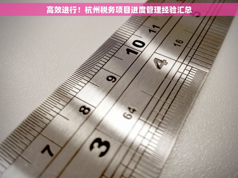 高效进行！杭州税务项目进度管理经验汇总