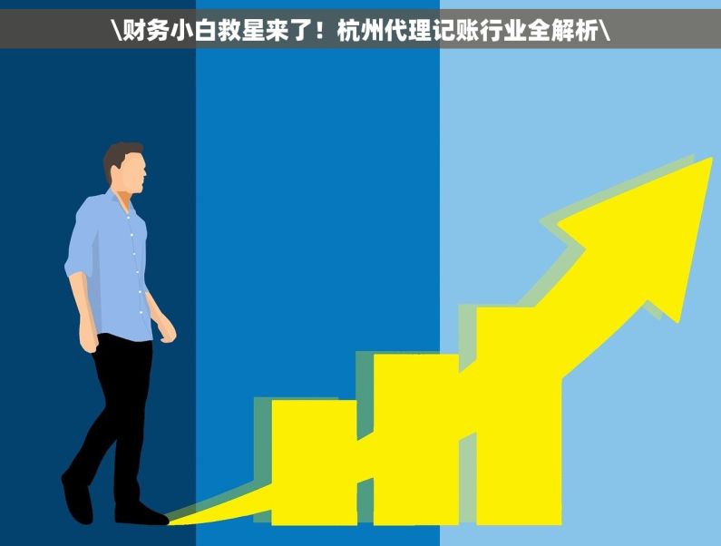 \财务小白救星来了！杭州代理记账行业全解析\