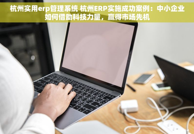 杭州实用erp管理系统 杭州ERP实施成功案例：中小企业如何借助科技力量，赢得市场先机