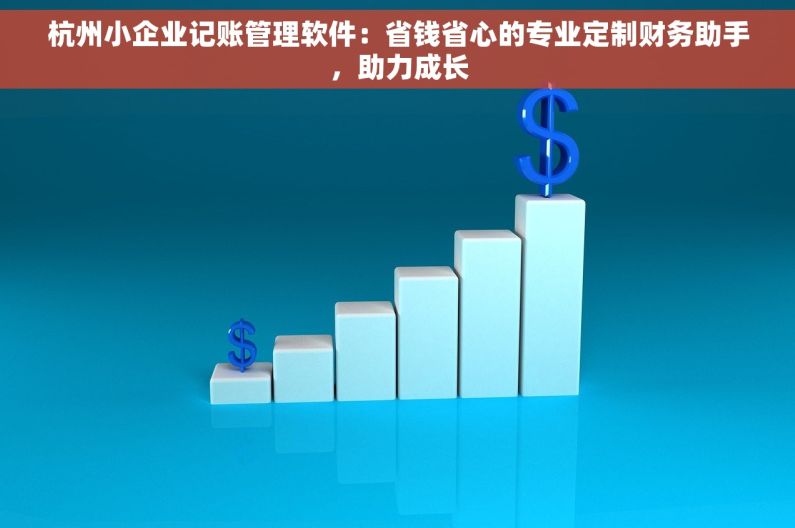 杭州小企业记账管理软件：省钱省心的专业定制财务助手，助力成长