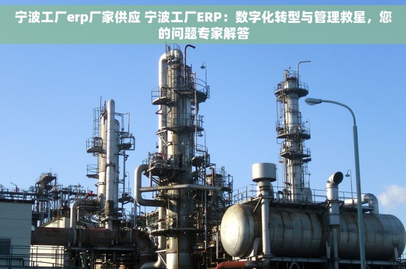 宁波工厂erp厂家供应 宁波工厂ERP：数字化转型与管理救星，您的问题专家解答
