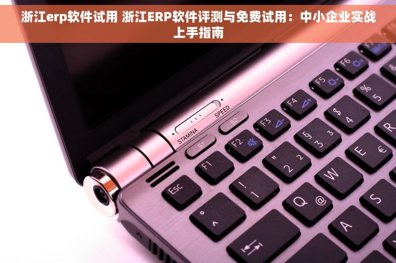 浙江erp软件试用 浙江ERP软件评测与免费试用：中小企业实战上手指南