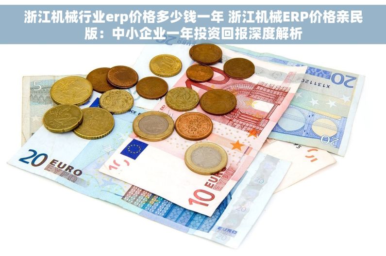 浙江机械行业erp价格多少钱一年 浙江机械ERP价格亲民版：中小企业一年投资回报深度解析