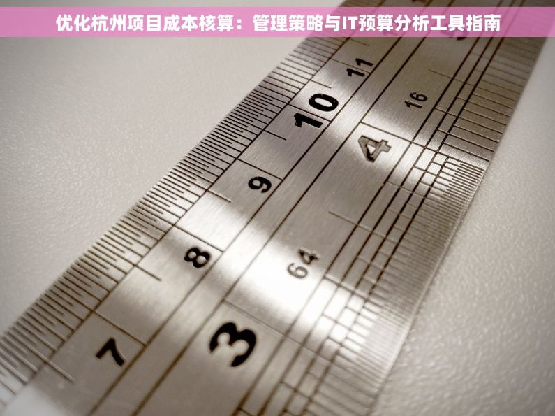 优化杭州项目成本核算：管理策略与IT预算分析工具指南
