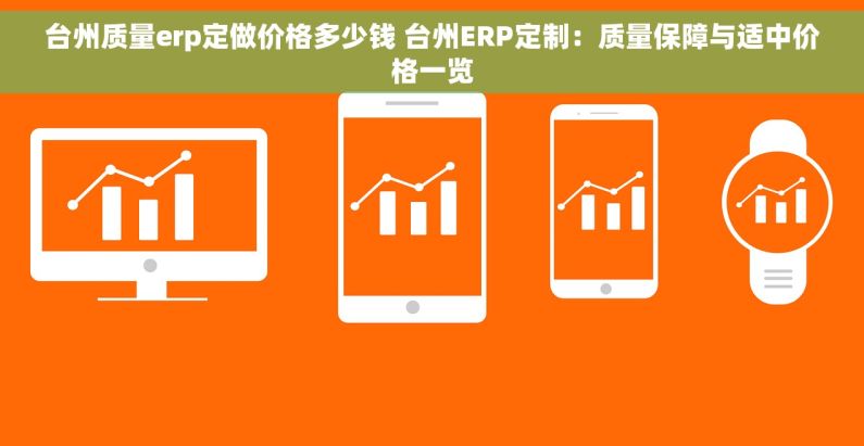 台州质量erp定做价格多少钱 台州ERP定制：质量保障与适中价格一览