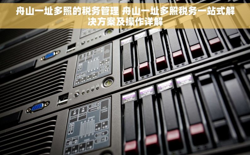 舟山一址多照的税务管理 舟山一址多照税务一站式解决方案及操作详解