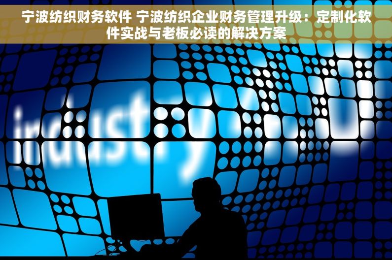 宁波纺织财务软件 宁波纺织企业财务管理升级：定制化软件实战与老板必读的解决方案