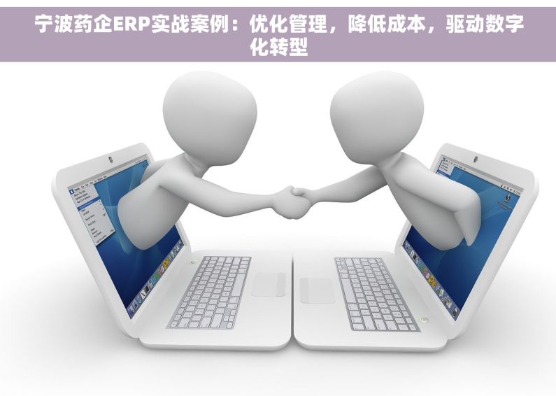 宁波药企ERP实战案例：优化管理，降低成本，驱动数字化转型