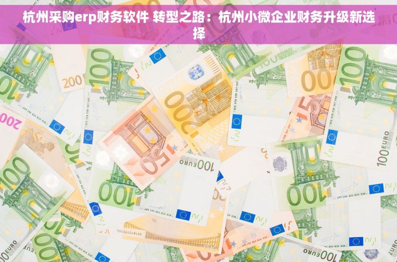 杭州采购erp财务软件 转型之路：杭州小微企业财务升级新选择