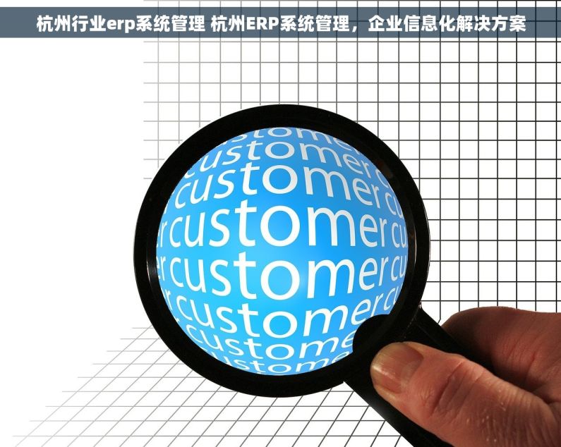 杭州行业erp系统管理 杭州ERP系统管理，企业信息化解决方案