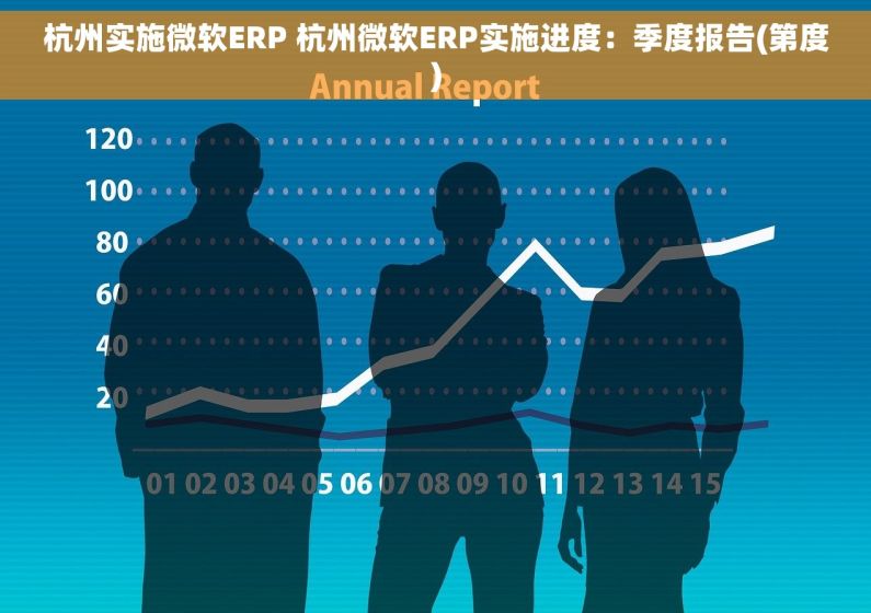 杭州实施微软ERP 杭州微软ERP实施进度：季度报告(第度)