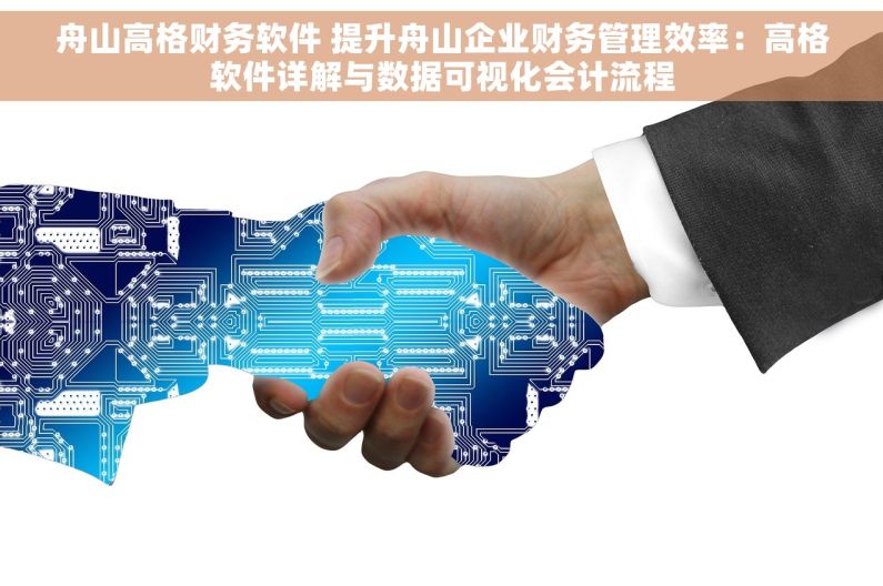 舟山高格财务软件 提升舟山企业财务管理效率：高格软件详解与数据可视化会计流程