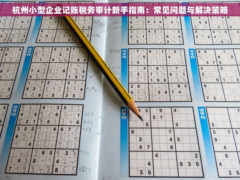 杭州小型企业记账税务审计新手指南：常见问题与解决策略
